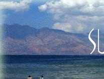 SUBIC shore 